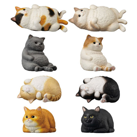 [PRE-ORDER] BANDAI MOCCHIRI KORORIN♪CAT W/O GUM (BOX of 12)