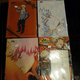 My Hero Academia Clearfiles (Official Merchandise)